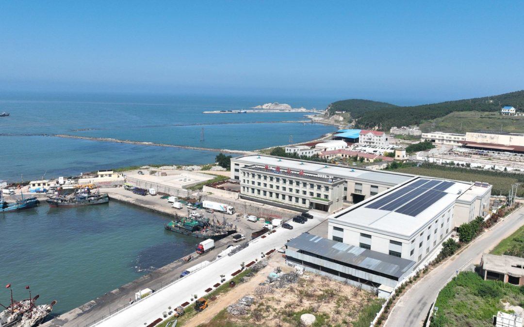 Haifu Machinery: Professional Equipment for the Long-standing Business